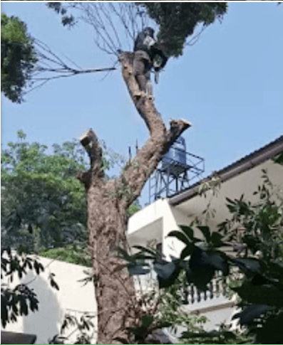 Screenshot 2024-02-08 094920.png