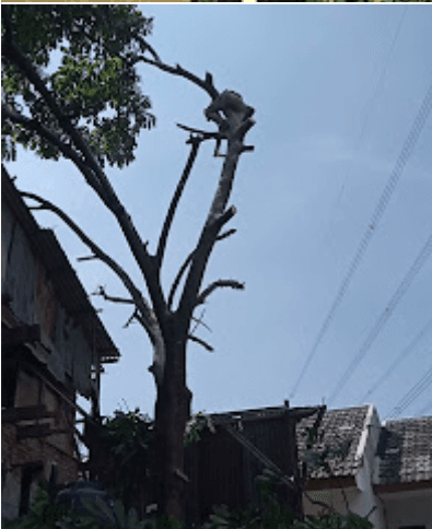 Screenshot 2024-02-08 094959.png