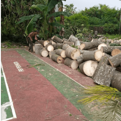 Screenshot 2024-02-08 095022.png