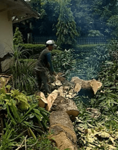 Screenshot 2024-02-08 095054.png