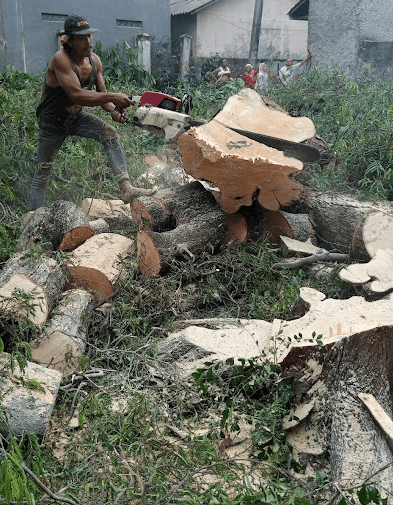 Screenshot 2024-02-08 095118.png