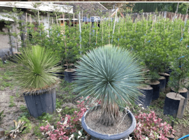 Screenshot 2024-02-07 220834.png