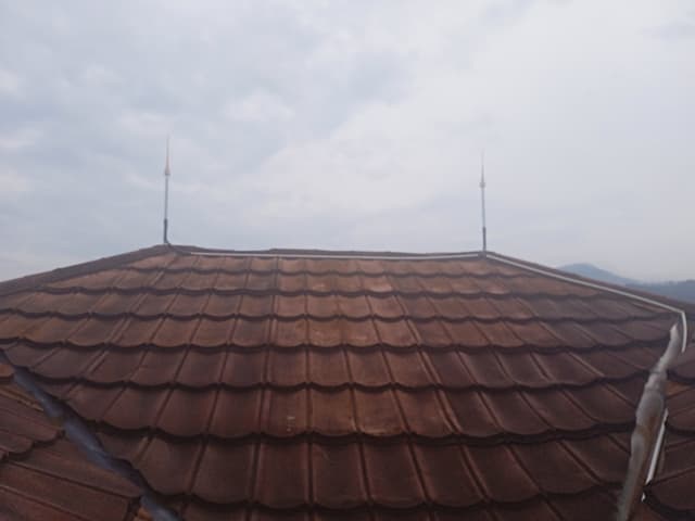 IMG_20250417_081934.jpg